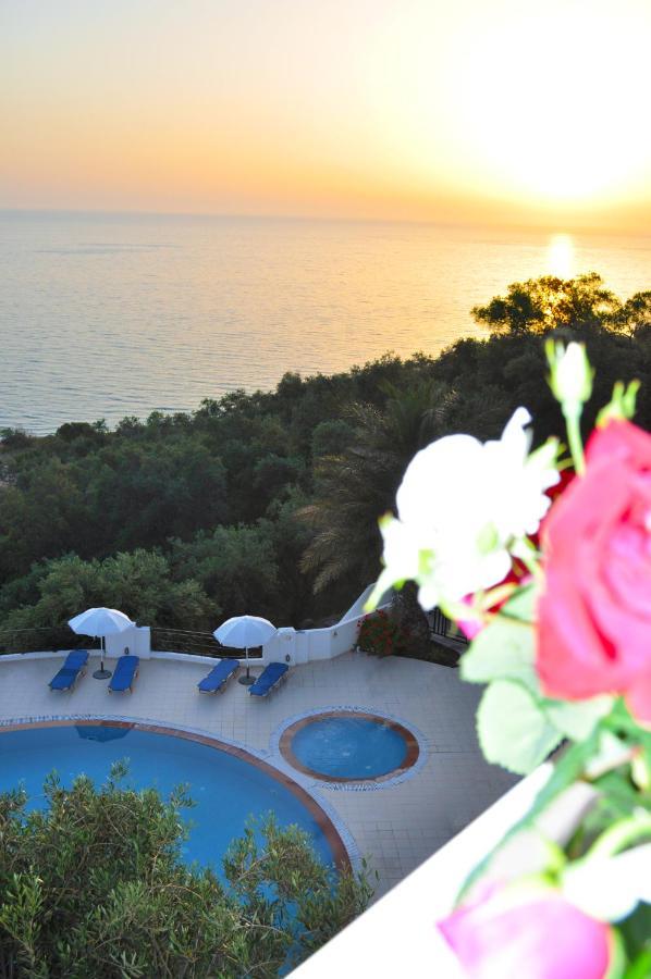 Holiday Apartments Maria With Pool - Agios Gordios Beach Exteriör bild